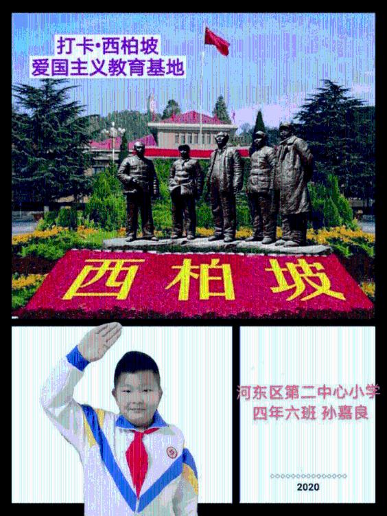 虫虫助手下载