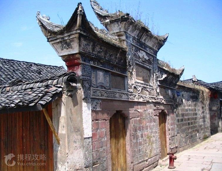 动物帮帮忙保卫家园